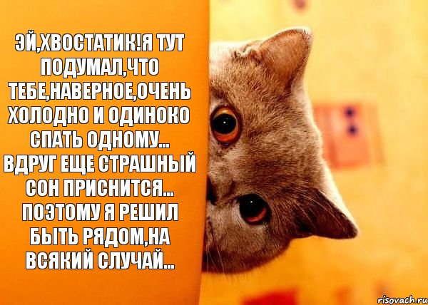 Эй,хвостатик!Я тут подумал,что тебе,наверное,очень холодно и одиноко спать одному... Вдруг еще страшный сон приснится... Поэтому я решил быть рядом,на всякий случай...