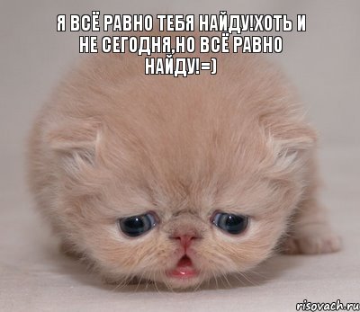 я всё равно тебя найду!Хоть и не сегодня,но всё равно найду!=)