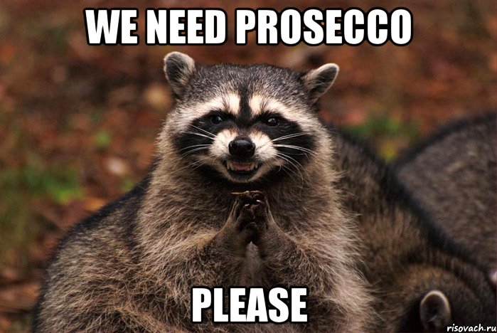 WE NEED PROSECCO PLEASE, Мем  Хитрый енот