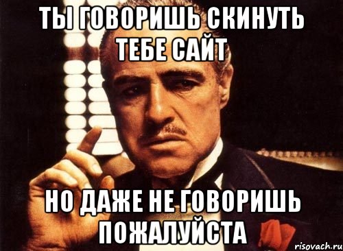 ТЫ ГОВОРИШЬ СКИНУТЬ ТЕБЕ САЙТ НО ДАЖЕ НЕ ГОВОРИШЬ ПОЖАЛУЙСТА, Мем крестный отец