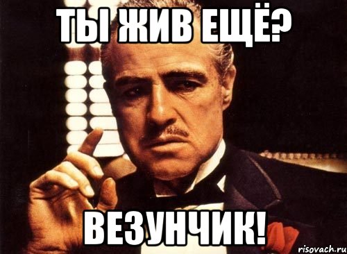 ты жив ещё? везунчик!, Мем крестный отец