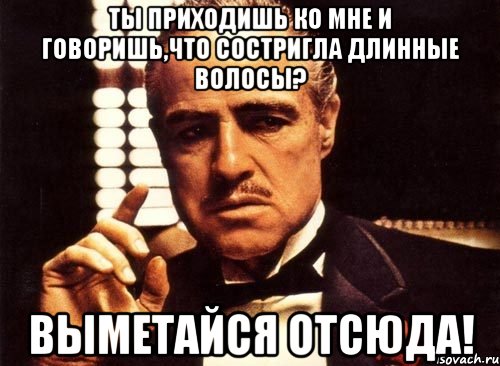 ты приходишь ко мне и говоришь,что состригла длинные волосы? выметайся отсюда!, Мем крестный отец