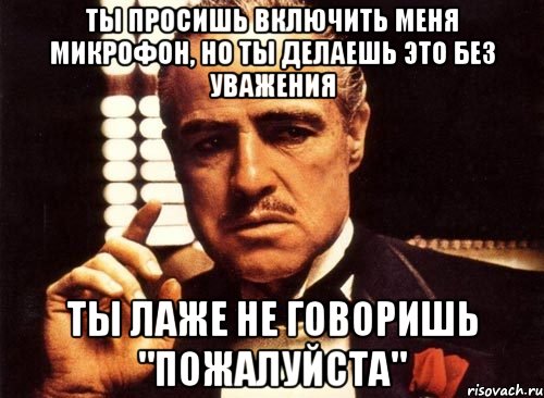 Ты просишь включить меня микрофон, но ты делаешь это без уважения Ты лаже не говоришь "пожалуйста", Мем крестный отец