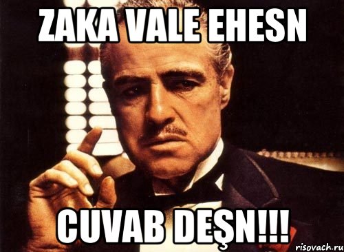 zaka vale ehesn cuvab deşn!!!, Мем крестный отец