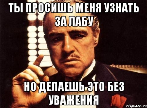 ТЫ ПРОСИШЬ МЕНЯ УЗНАТЬ ЗА ЛАБУ НО ДЕЛАЕШЬ ЭТО БЕЗ УВАЖЕНИЯ, Мем крестный отец