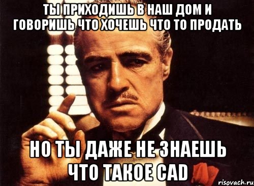 ты приходишь в наш дом и говоришь что хочешь что то продать но ты даже не знаешь что такое CAD, Мем крестный отец