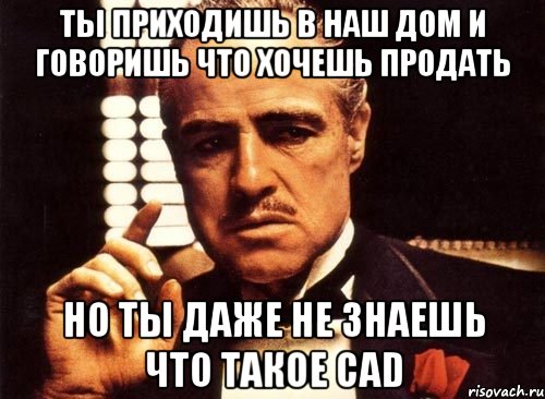 ты приходишь в наш дом и говоришь что хочешь продать но ты даже не знаешь что такое cad, Мем крестный отец