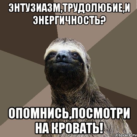 Энтузиазм,трудолюбие,и энергичность? Опомнись,посмотри на кровать!, Мем Ленивец2