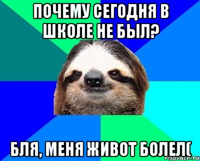 Почему сегодня в школе не был? Бля, меня живот болел(, Мем Ленивец