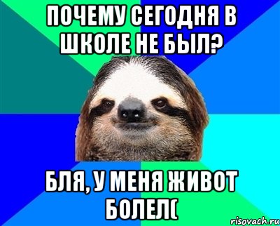 Почему сегодня в школе не был? Бля, у меня живот болел(, Мем Ленивец