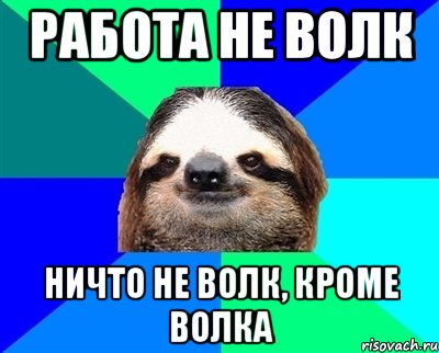 работа не волк ничто не волк, кроме волка, Мем Ленивец