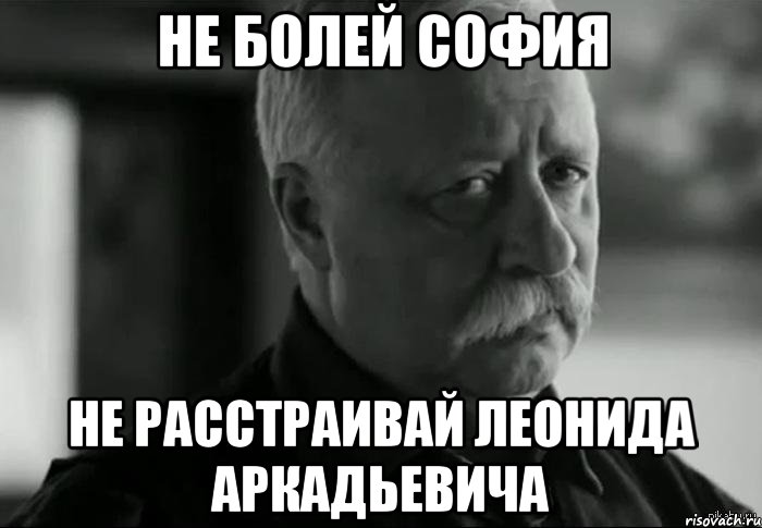 Не болей София Не расстраивай Леонида Аркадьевича, Мем Не расстраивай Леонида Аркадьевича