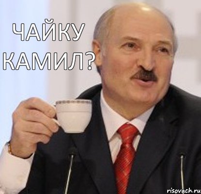 чайку Камил?, Комикс Лукашэнка