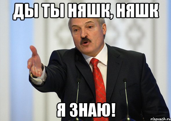 Ды ты няшк, няшк Я знаю!, Мем лукашенко