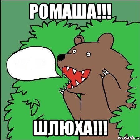 Ромаша!!! шлюха!!!, Мем Медведь-шлюха