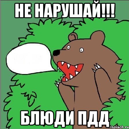 Не нарушай!!! Блюди ПДД, Мем Медведь-шлюха