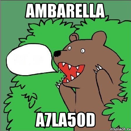 Ambarella A7LA50D, Мем Медведь-шлюха