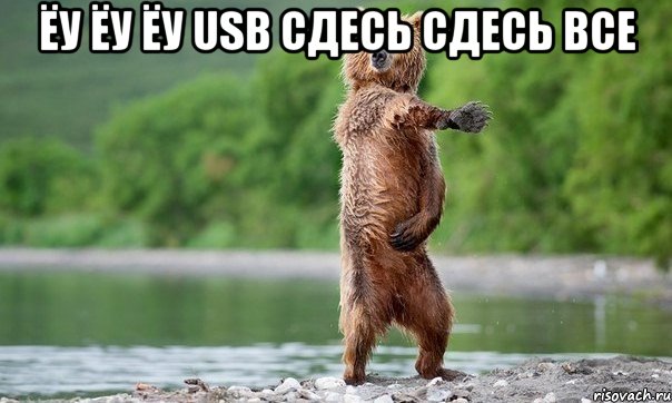 ёу ёу ёу USB сдесь сдесь все , Мем Медвед танцует