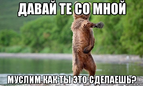 Давай те со мной муслим как ты это сделаешь?