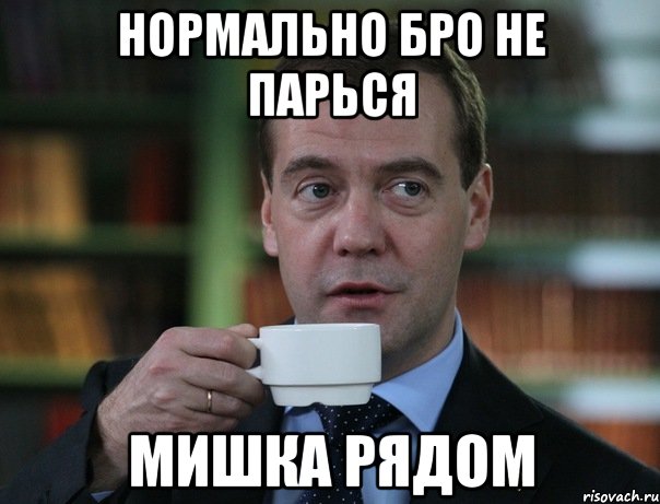 нормально бро не парься мишка рядом, Мем Медведев спок бро
