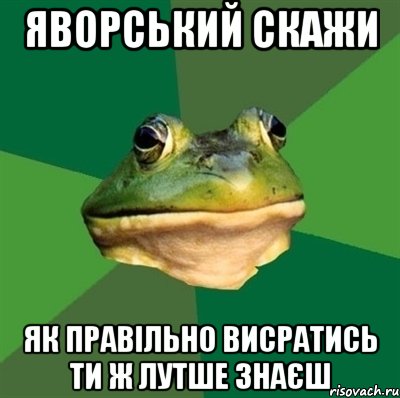 Яворський скажи як правільно висратись ти ж лутше знаєш, Мем  Мерзкая жаба