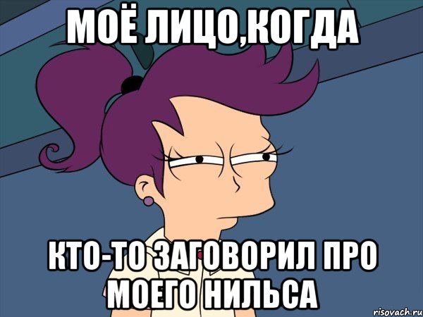 Моё лицо,когда Кто-то заговорил про моего Нильса, Мем Мне кажется или (с Лилой)