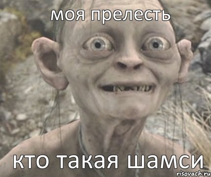 кто такая шамси моя прелесть