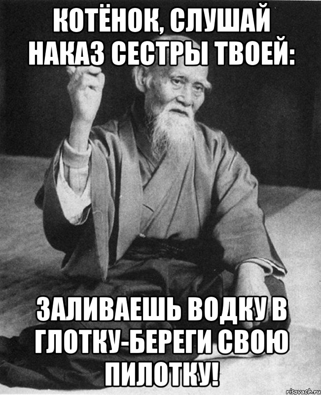 Котёнок, слушай наказ сестры твоей: Заливаешь водку в глотку-береги свою пилотку!, Мем Монах-мудрец (сэнсей)