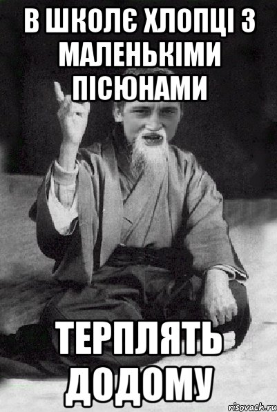 В ШКОЛЄ ХЛОПЦІ З МАЛЕНЬКІМИ ПІСЮНАМИ ТЕРПЛЯТЬ ДОДОМУ, Мем Мудрий паца