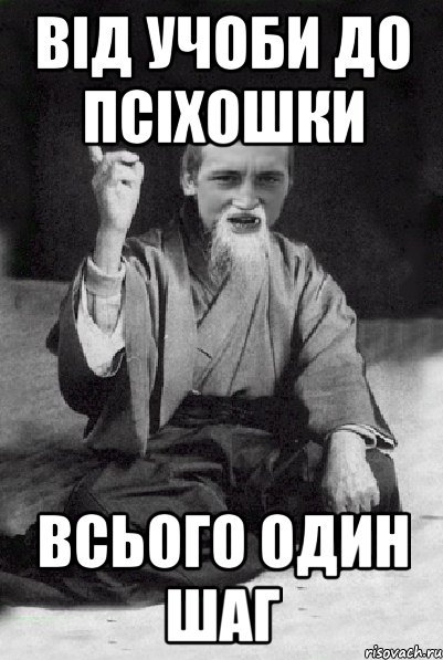 від учоби до псіхошки всього один шаг, Мем Мудрий паца