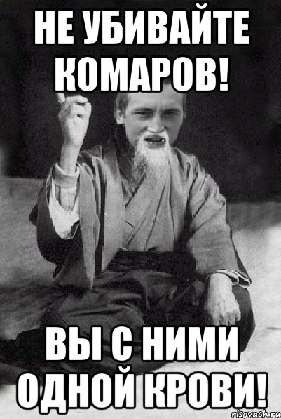 Не убивайте комаров! Вы с ними одной крови!, Мем Мудрий паца