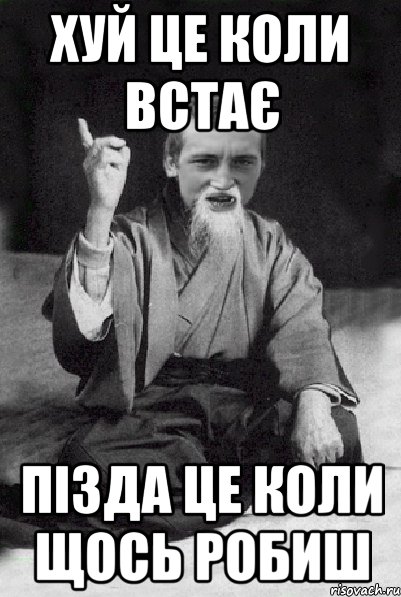 хуй це коли встає пізда це коли щось робиш, Мем Мудрий паца