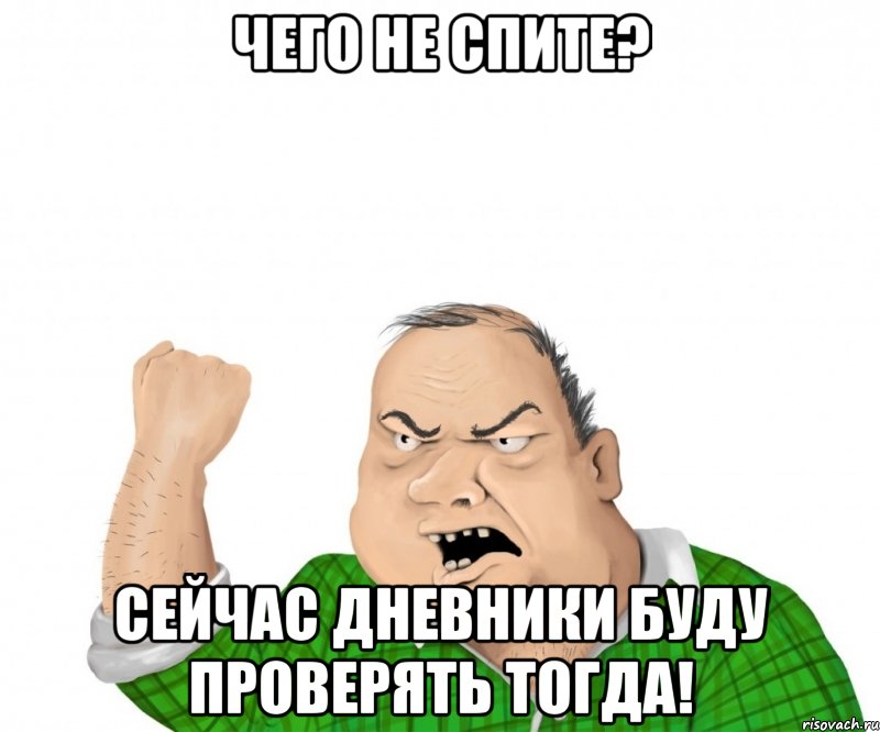 Чего не спите? Сейчас дневники буду проверять тогда!, Мем мужик