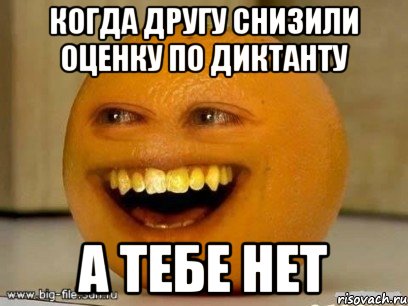 Когда другу снизили оценку по диктанту А тебе нет, Мем Надоедливый апельсин