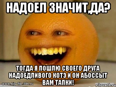 надоел значит,да? тогда я пошлю своего друга надоедливого котэ и он абоссыт вам тапки!, Мем Надоедливый апельсин