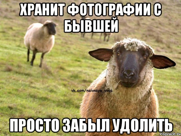 Хранит фотографии с бывшей Просто забыл удолить, Мем  Наивная Овца