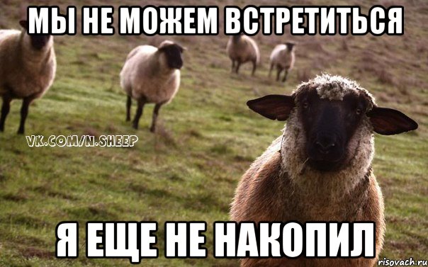 мы не можем встретиться я еще не накопил, Мем  Наивная Овца