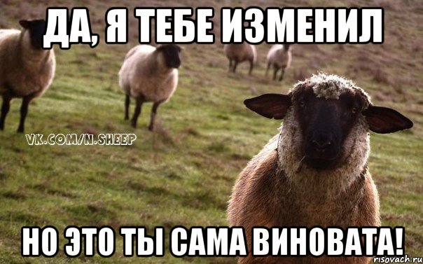 да, я тебе изменил но это ты сама виновата!, Мем  Наивная Овца