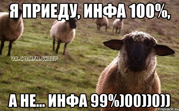 Я приеду, инфа 100%, а не... инфа 99%)00))0)), Мем  Наивная Овца