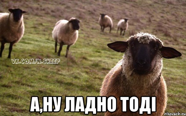  а,ну ладно тоді, Мем  Наивная Овца