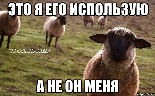 это я его использую а не он меня, Мем  Наивная Овца