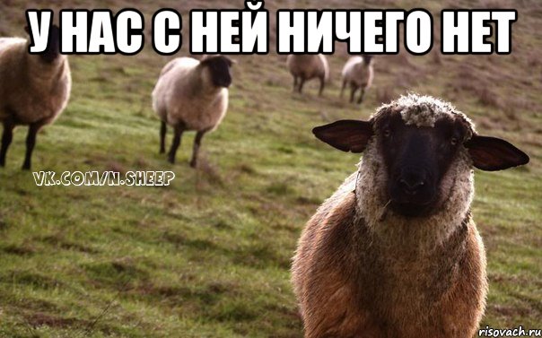 У нас с ней ничего нет , Мем  Наивная Овца