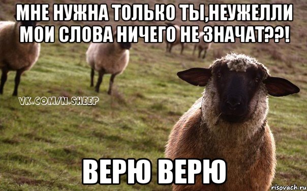 Мне нужна только ты,Неужелли мои слова ничего не значат??! Верю верю, Мем  Наивная Овца