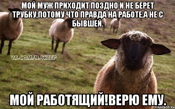 Мой муж приходит поздно и не берет трубку,потому что правда на работе.А не с бывшей. Мой работящий!Верю ему., Мем  Наивная Овца