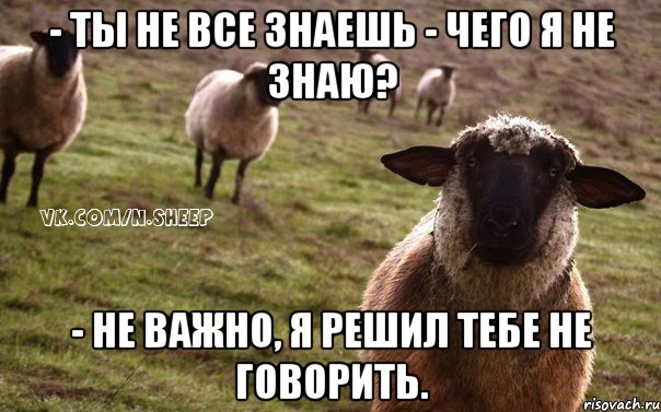 - Ты не все знаешь - Чего я не знаю? - Не важно, я решил тебе не говорить., Мем  Наивная Овца