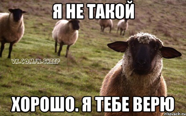 я не такой хорошо. я тебе верю, Мем  Наивная Овца