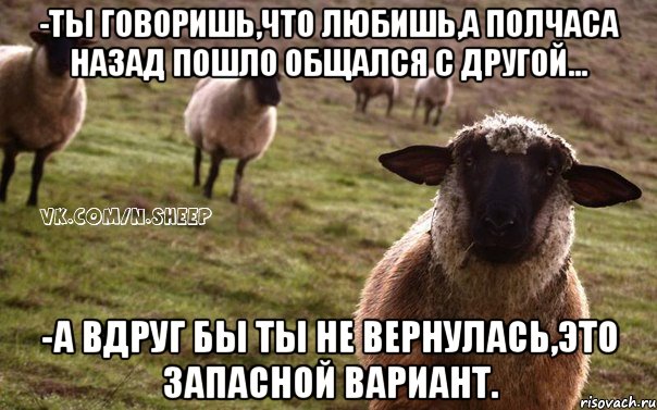 -Ты говоришь,что любишь,а полчаса назад пошло общался с другой... -А вдруг бы ты не вернулась,это запасной вариант., Мем  Наивная Овца