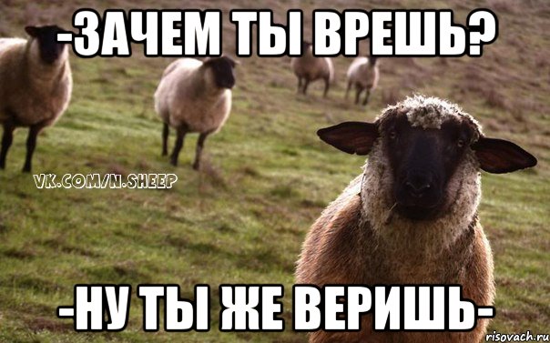 -Зачем ты врешь? -Ну ты же веришь-, Мем  Наивная Овца