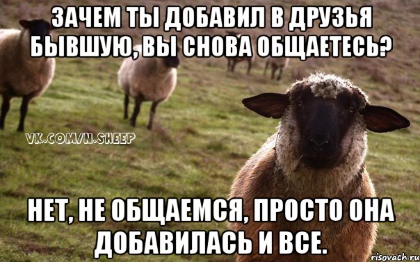 Зачем ты добавил в друзья бывшую, вы снова общаетесь? Нет, не общаемся, просто она добавилась и все., Мем  Наивная Овца