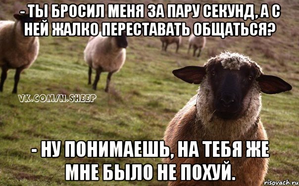 - Ты бросил меня за пару секунд, а с ней жалко переставать общаться? - Ну понимаешь, на тебя же мне было не похуй., Мем  Наивная Овца